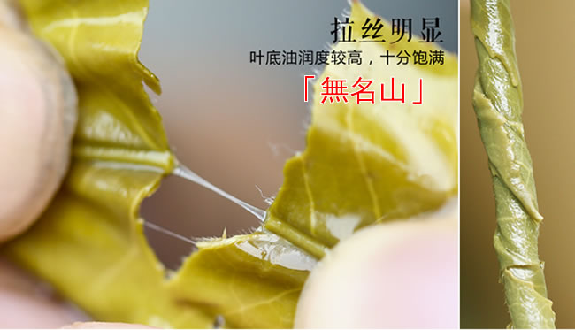 古樹普洱茶 無名山古樹茶 2016無名山普洱茶 生茶 100g