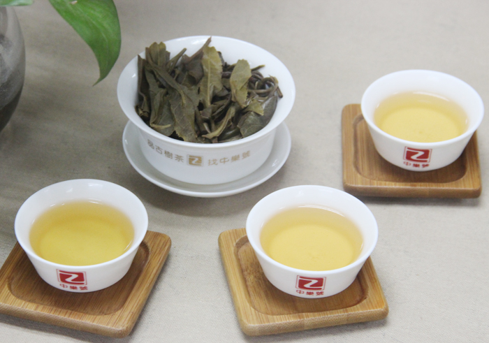 古樹普洱茶 無名山古樹茶 2016無名山普洱茶 生茶 100g