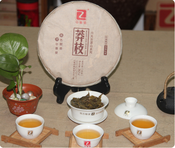 莽枝 莽枝普洱茶 2013中樂號莽枝古樹茶 六大古茶山 357克