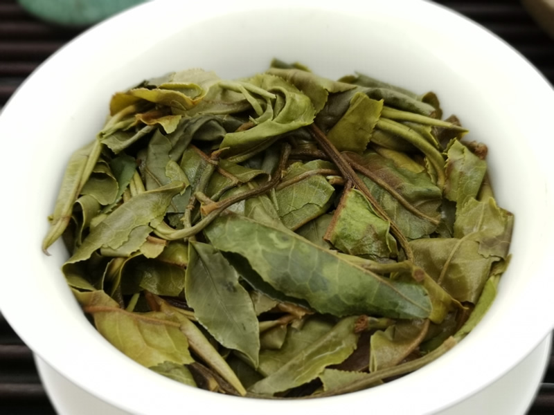 懂過白茶 古樹白茶 雲南古樹白茶 2023古樹白茶 white tea 357克