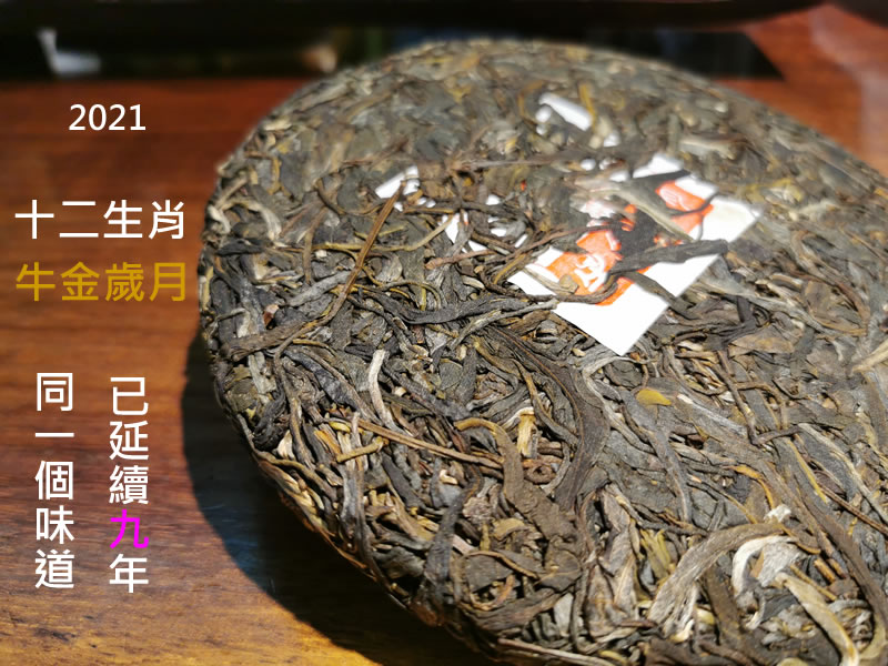 十二生肖普洱茶 古樹普洱茶 2021牛金歲月古樹茶 357克