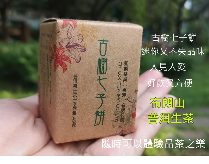 七子餅 古樹七子餅 2021古樹普洱茶 7克/餅 生茶