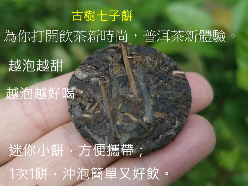 七子餅 古樹七子餅 2021古樹普洱茶 7克/餅 生茶