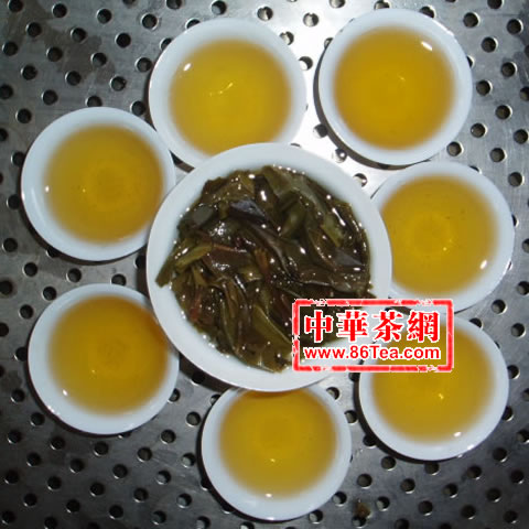 陳年普洱茶 陳年生茶 景邁普洱茶 陳年景邁古樹普洱茶 100克