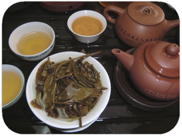 中华茶网成立八周年纪念茶 2011勐海古树茶