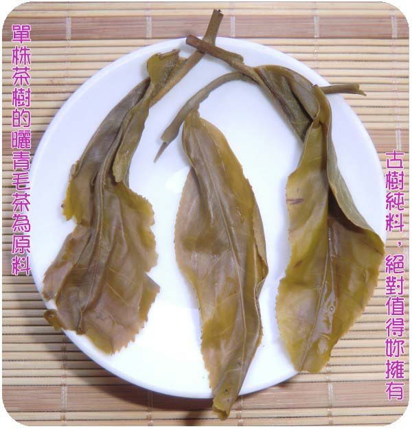 古樹普洱茶 2011獨樹王純料古樹茶 200克