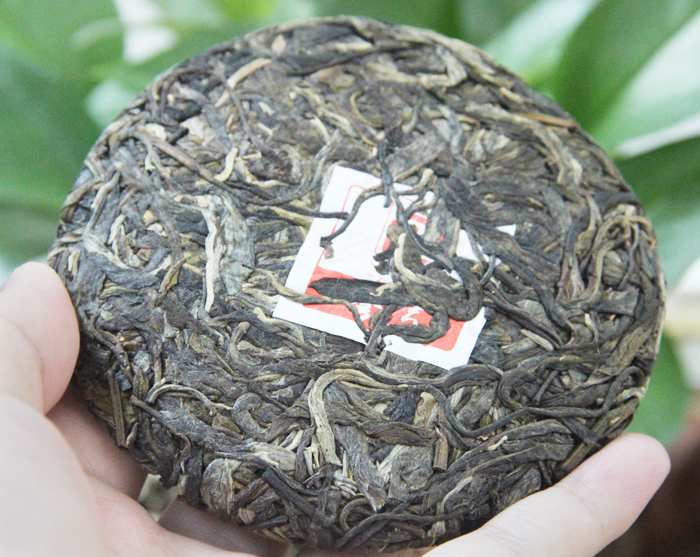 易武弯弓普洱茶 2016中乐号弯弓古树茶  100g