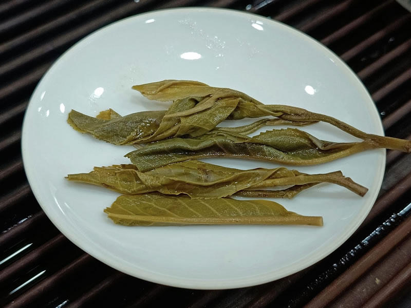 中樂號 磨烈 2023磨烈古樹茶 磨烈普洱茶 357克